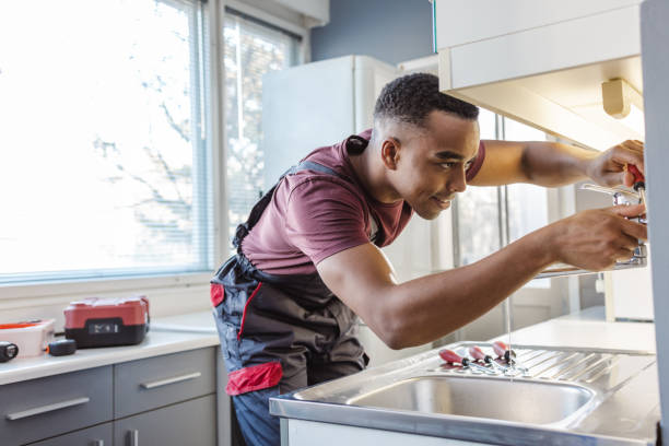 Best Local Plumber Services  in Seminole Manor, FL